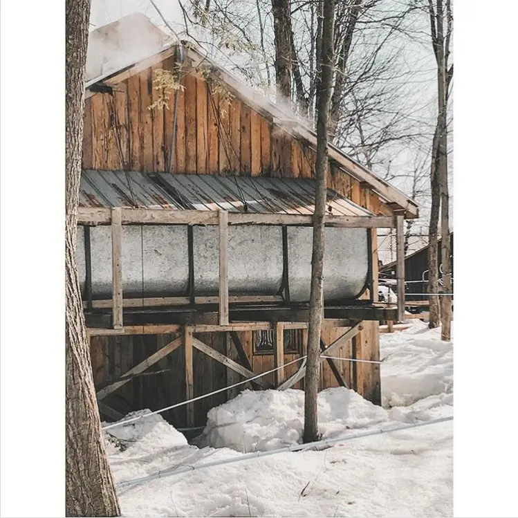 | Le Chalet des Érables Activité à la cabane à sucre - Bouilloire